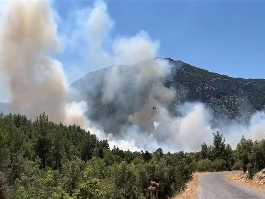 Antalya'nın Akseki İlçesinde Orman Yangını ve Müdahale Çalışmaları