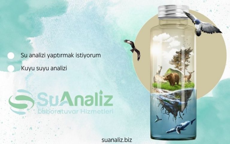 Su Analizi Yaptırmak İstiyorum: Dikkat Edilmesi Gereken 5 Kritik Nokta