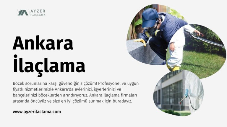 Ankara’da Ev İlaçlama: Zararlılardan Arınmış Bir Yaşam İçin İlk Adım