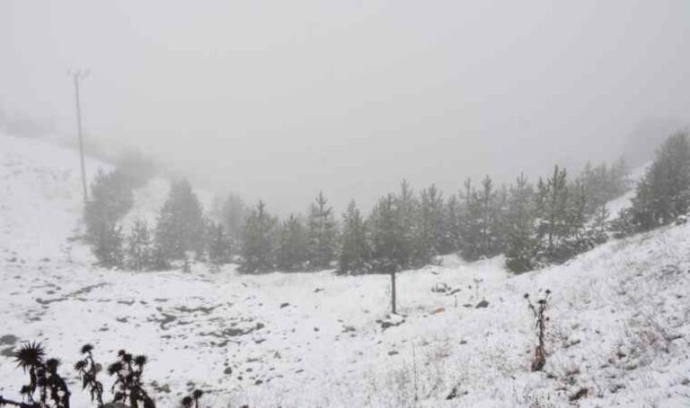 Tokat’ta yoğun kar yağışı etkili – Son Dakika Türkiye Haberleri
