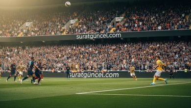 suratbet - surat bet